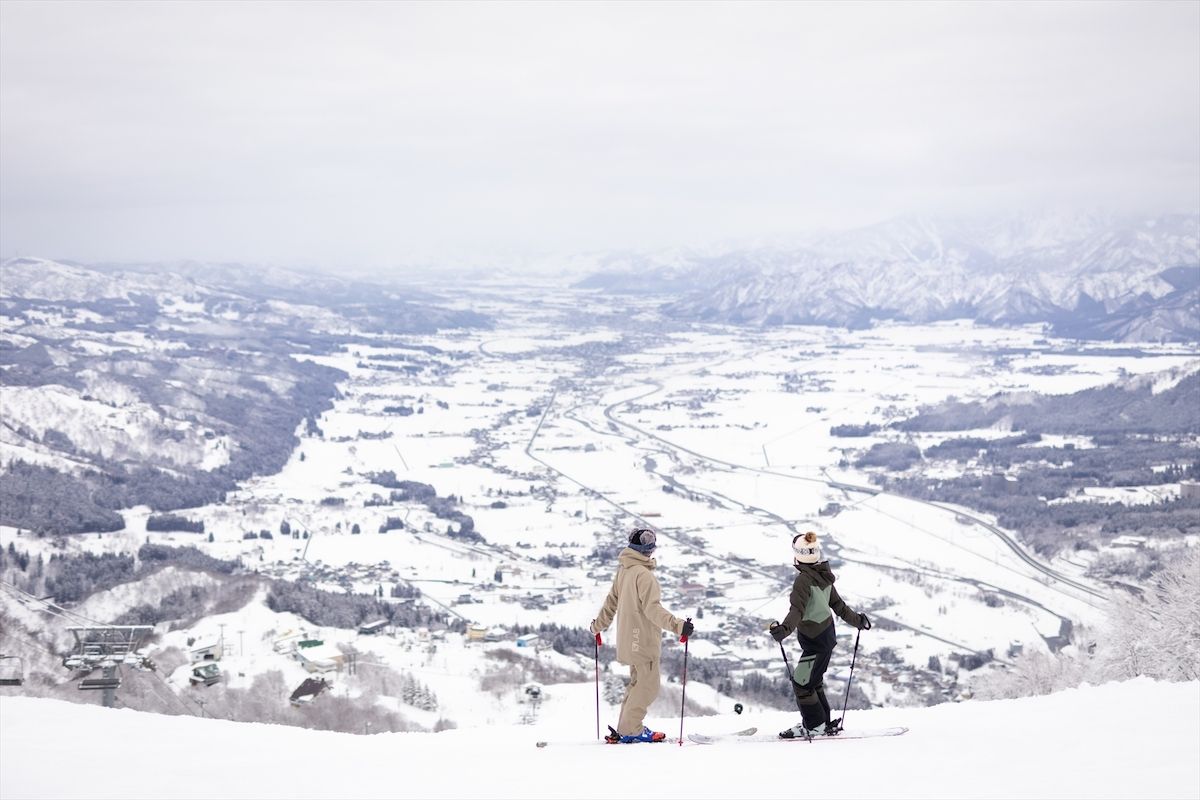 お得な早割リフト券をチェック！2024-2025シーズン 新潟県スキー場の早