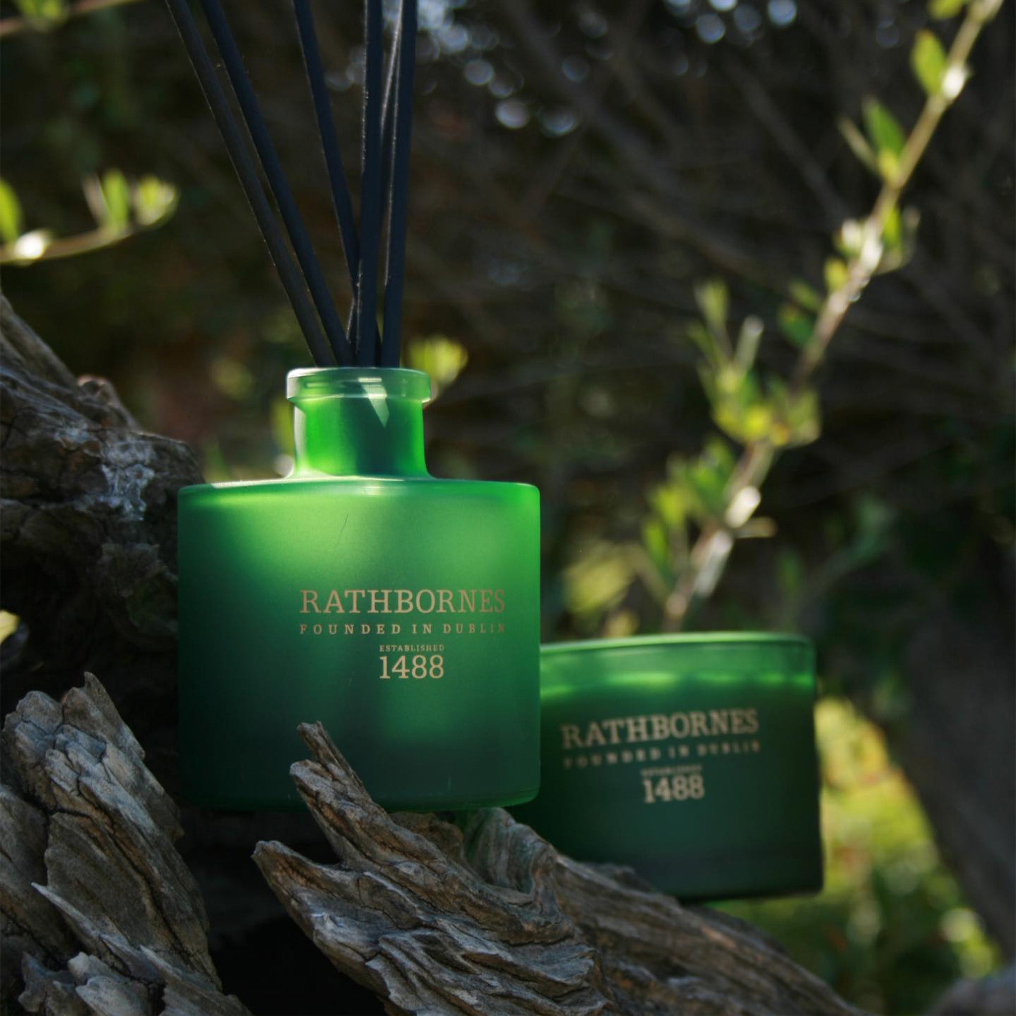 rb_item_drt_scene01_e11bfaa1-