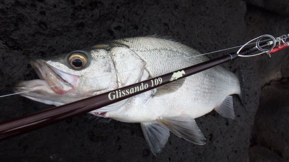 TULALA | Ford every stream | » Glissando 109