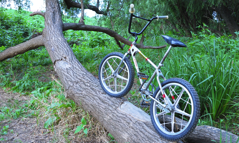 BONZ BROS. OLD SCHOOL BMX