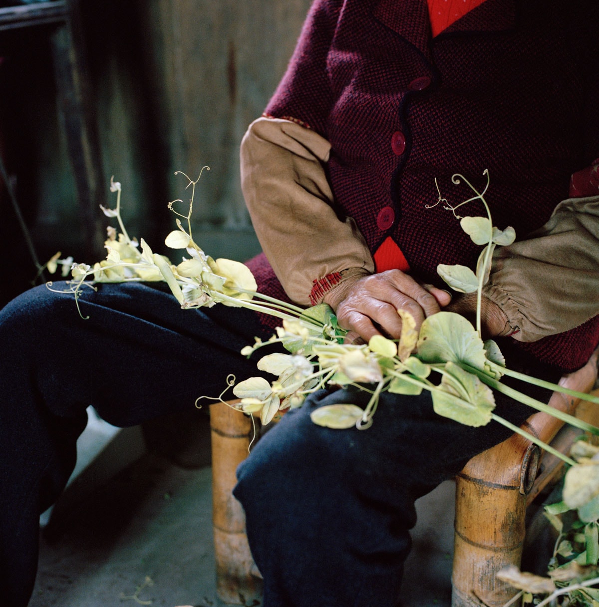 Artist Feature: Xiaoxiao Xu - The way to the golden mountain