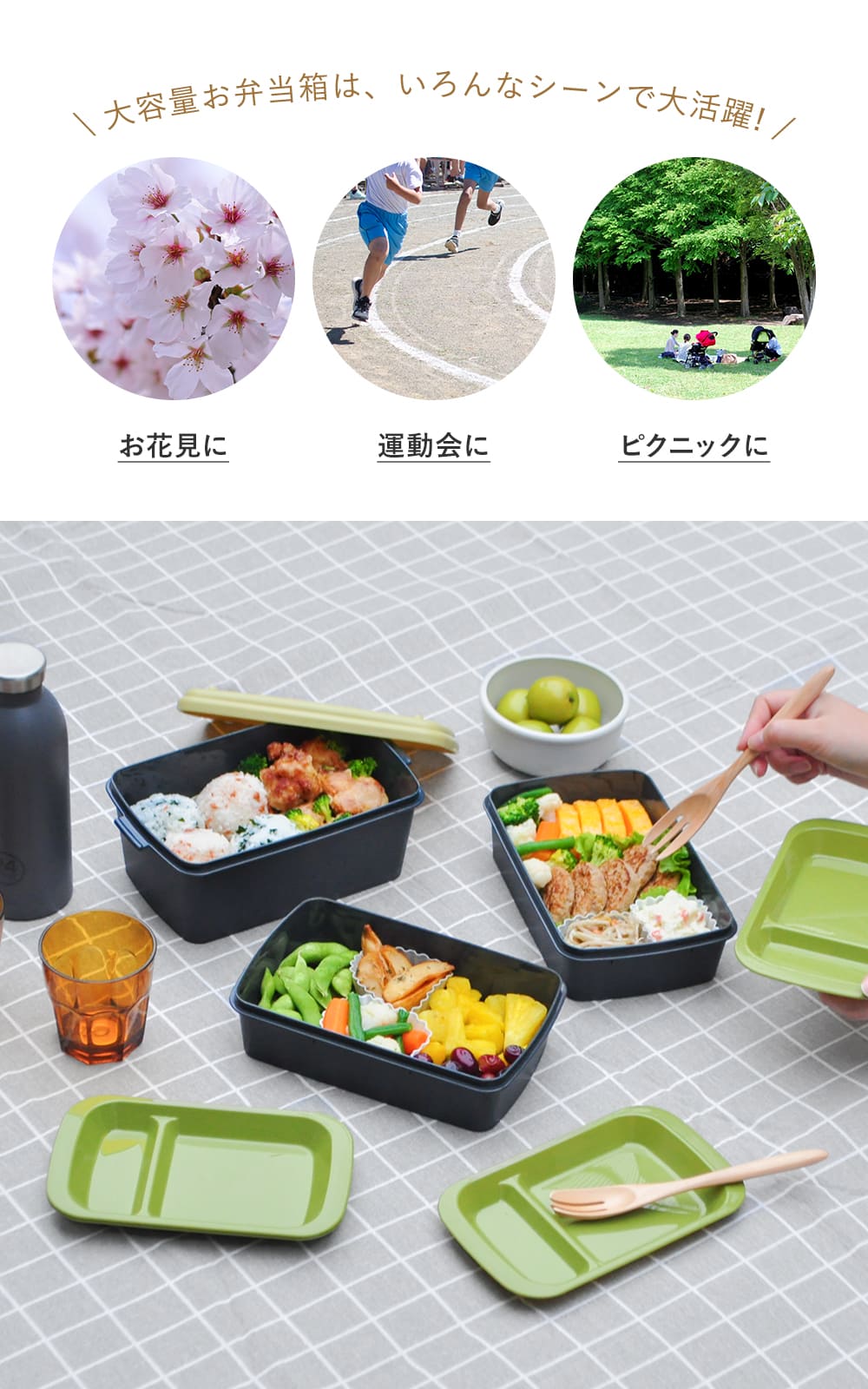 楽天市場】[楽天1位/即日出荷] 運動会 お弁当箱 3段・2段 ピクニック