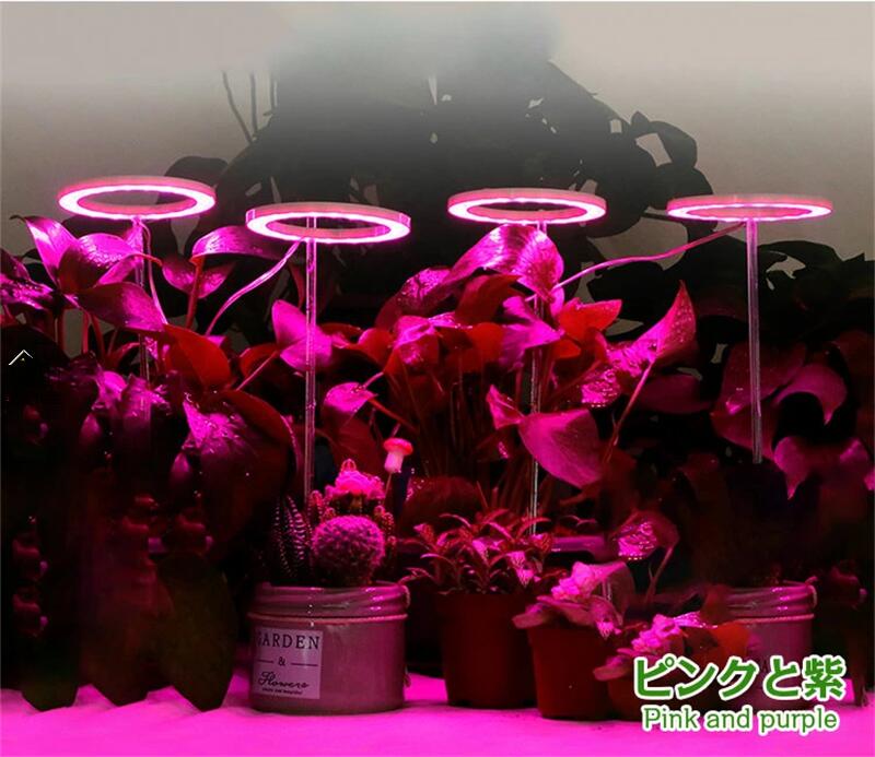 楽天市場】植物育成ライト 植物 ライト LED 育成ライト 観葉植物 多肉
