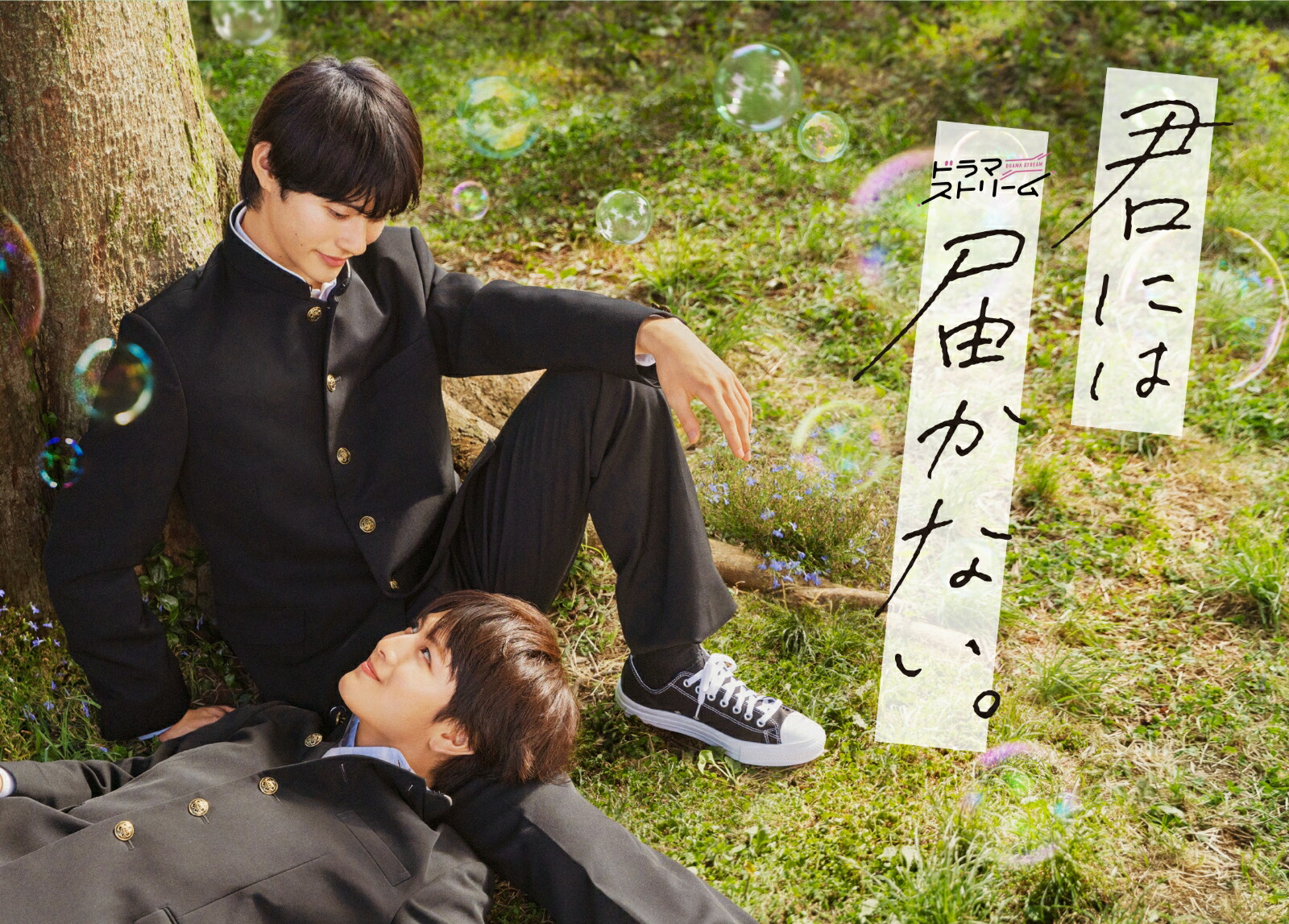 楽天ブックス: 君には届かない。 DVD-BOX - 前田拳太郎