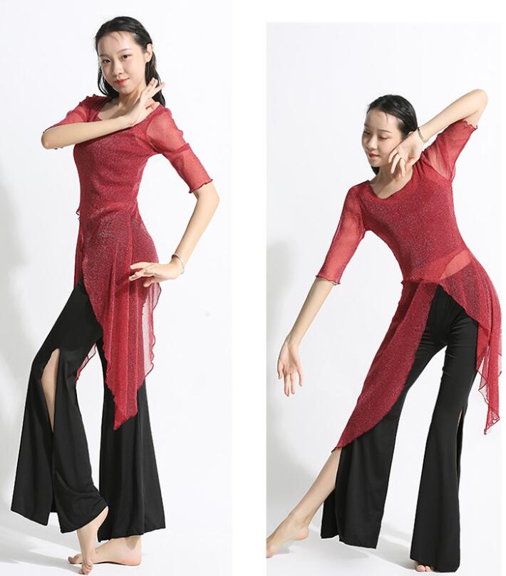 楽天市場】社交ダンス練習着 レッスンウェア 半袖ロングブラウス ラメ