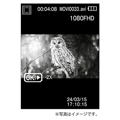 楽天市場】【☆当選確率1/2！最大100%Pバック(上限あり・要エントリー
