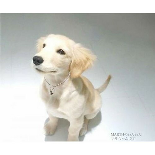 楽天市場】【予約商品】カーボンバランサーα UFO-M 半径70m 【正規販売