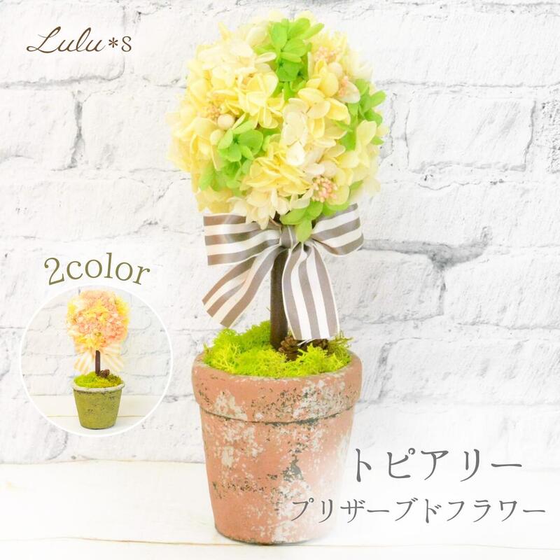 楽天市場】トピアリー 選べる2color プリザーブドフラワー ドライ