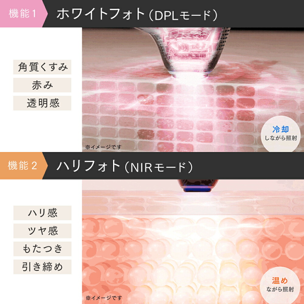 楽天市場】【公式｜スーパーSALE 10%OFFクーポン+P10倍！】リン