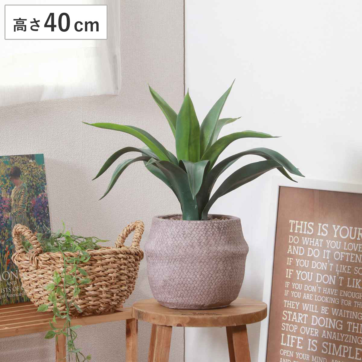楽天市場】フェイクグリーン アガベ 高さ40cm セメントポット （ 観葉