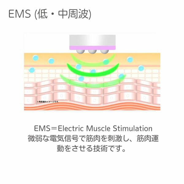 楽天市場】Minicure ラジオフォトレーション ミニキュア 美容成分 浸透