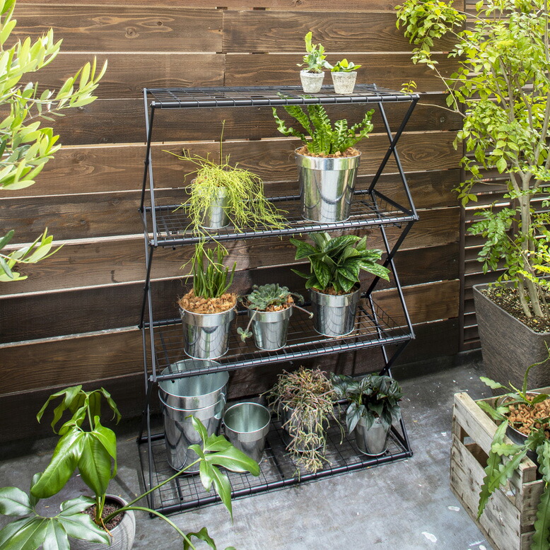 楽天市場】アイアンラック パンタグラック Lサイズ 収納 キャンプ