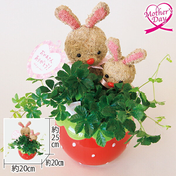 楽天市場】母の日 うさぎの通販