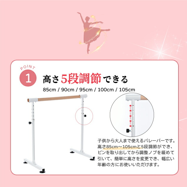 楽天市場】【スーパーセール価格&全品P5倍20時〜4H限定！】家庭用