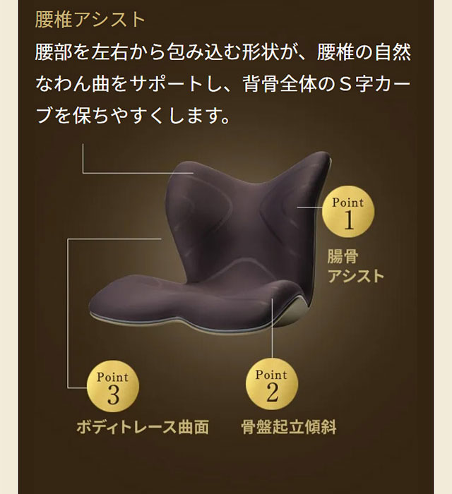 楽天市場】【メーカー正規販売店】 スタイルプレミアム デラックス