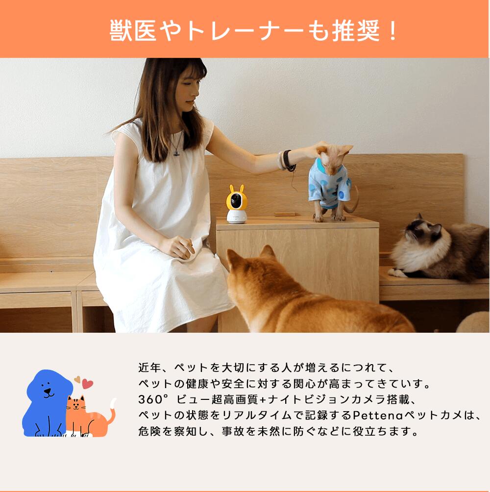 楽天市場】ペットカメラ ドッグカメラ 防犯カメラ PETTENA【1年保証