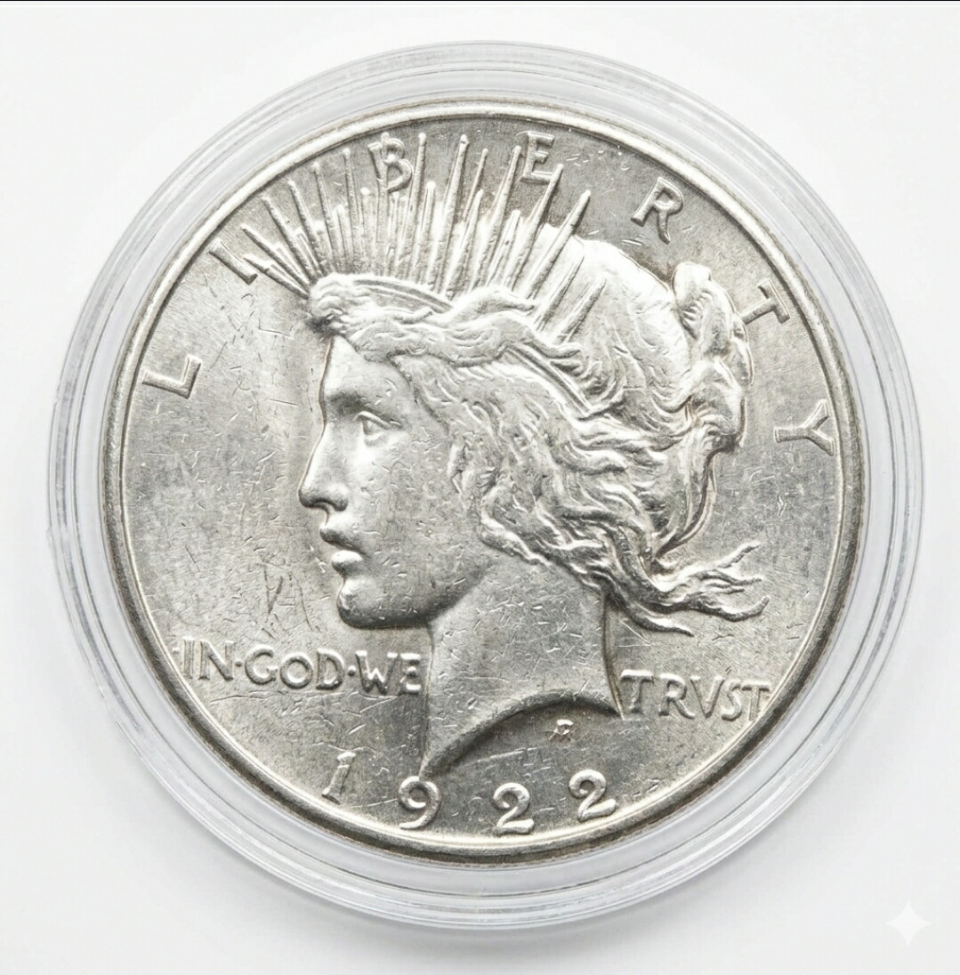 楽天市場】【追跡可】 クイーンズビースト2オンス銀貨用 クリアケース