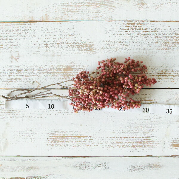 楽天市場】ドライフラワー 花材 即日出荷 ペッパーベリー ナチュラル