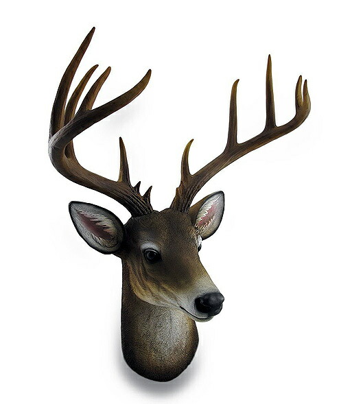 楽天市場】角を持った野生の雄鹿頭部彫像 壁彫刻/ ハンティング