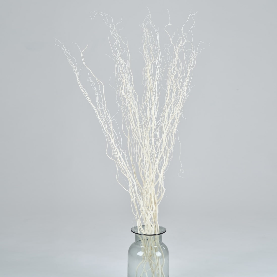 BIGボタニカル｜ドライ］雲竜柳 ホワイト 100-120cm 商品ページ - 土と