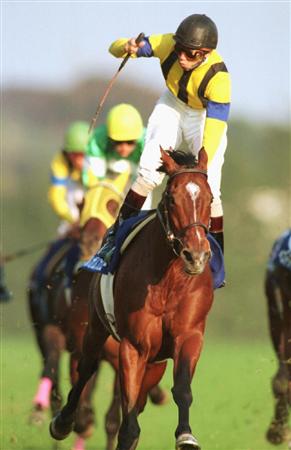 天皇賞馬・バブルガムフェローが肺炎のため死亡｜競馬ニュース｜競馬