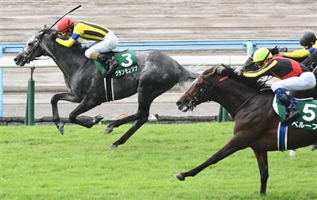小倉記念】遅咲きのディープ産駒クランモンタナが重賞初V｜競馬