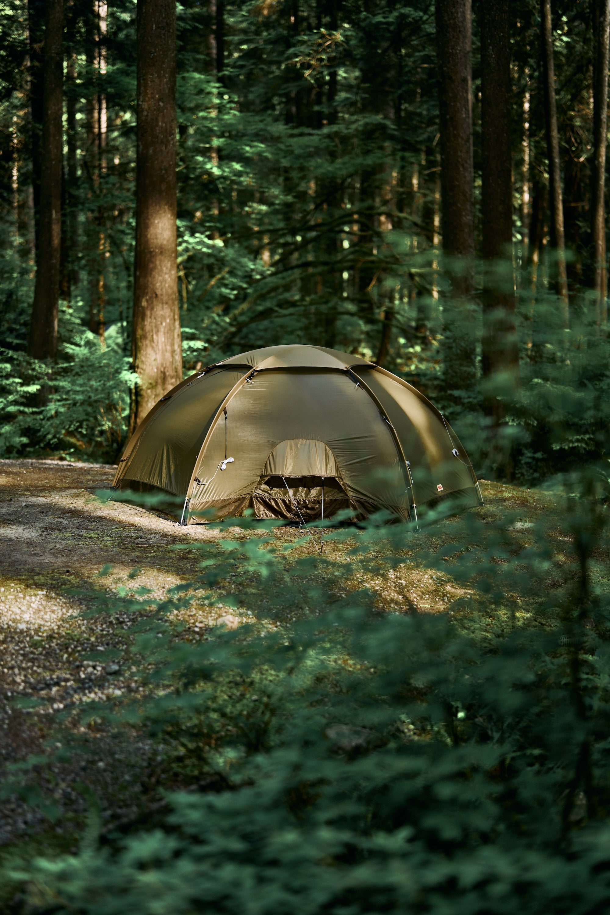 Fjallraven / Abisko Dome 2 – wanderout