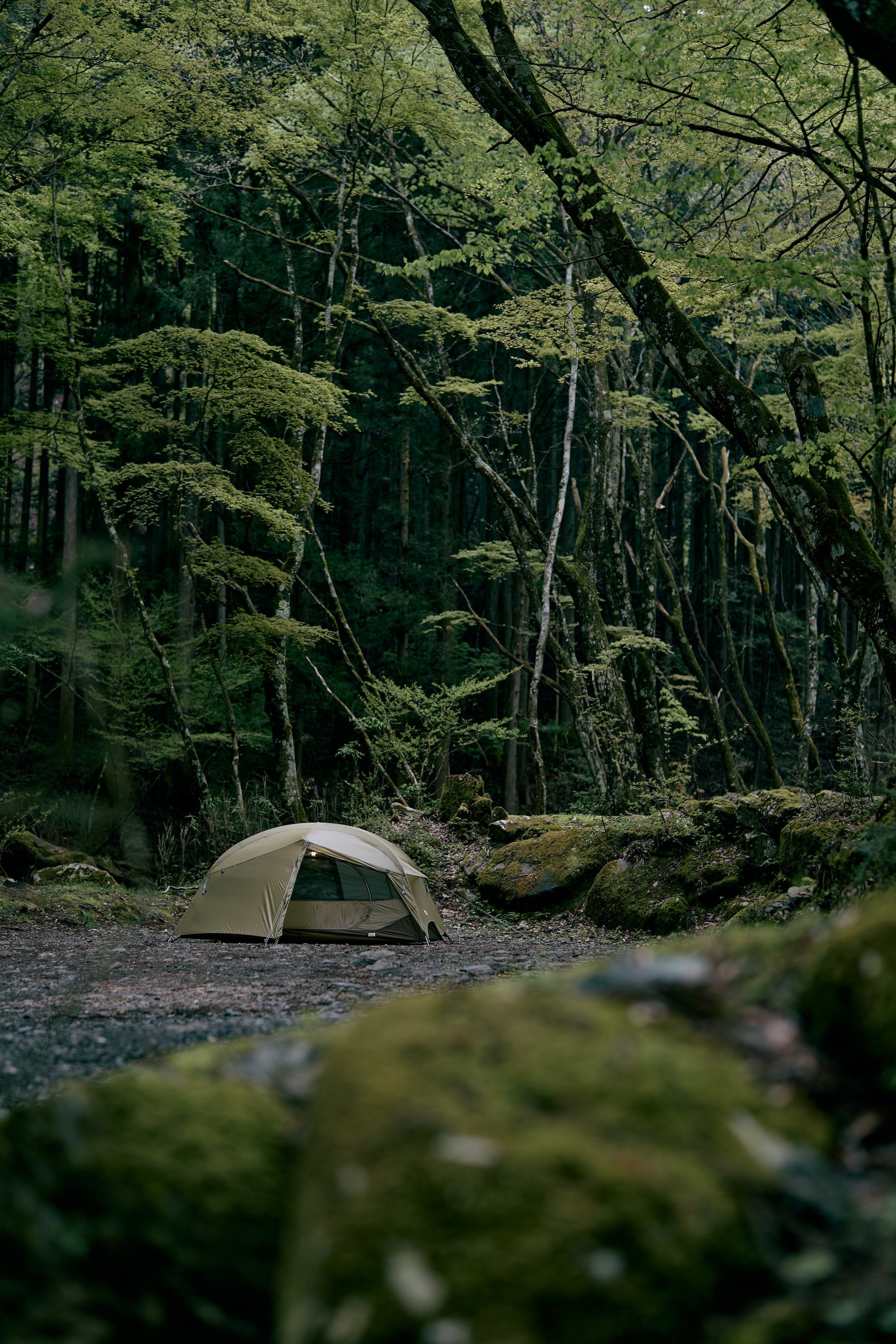 Fjallraven / Abisko Friluft 2 – wanderout