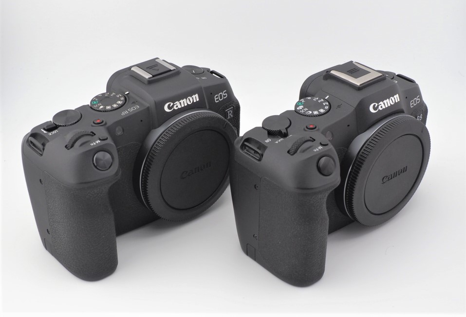 発売から6年……未だに人気なフルサイズミラーレス「EOS RP」をつかって