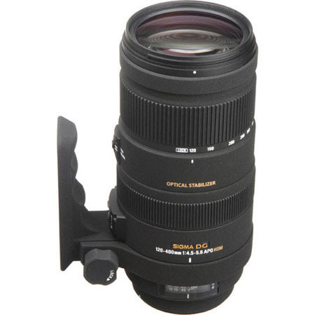 SIGMA APO 135-400mm F4.5-5.6 DG (ニコン AF) シグマ APO 135-400mm F4.5-