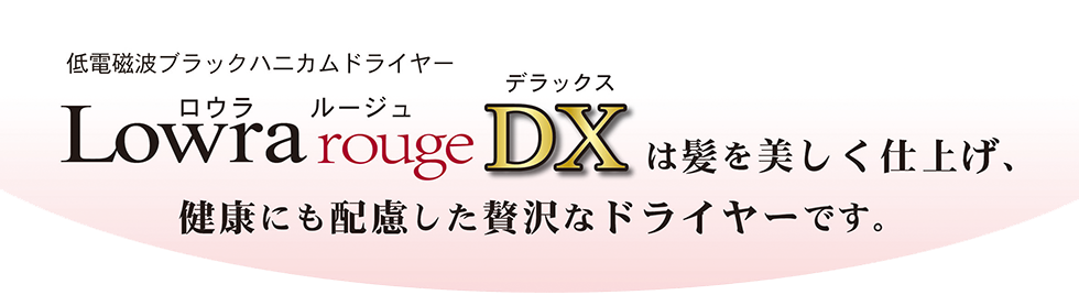 バンユウ低電磁波ブラックハニカムドライヤーロウラルージュデラックス