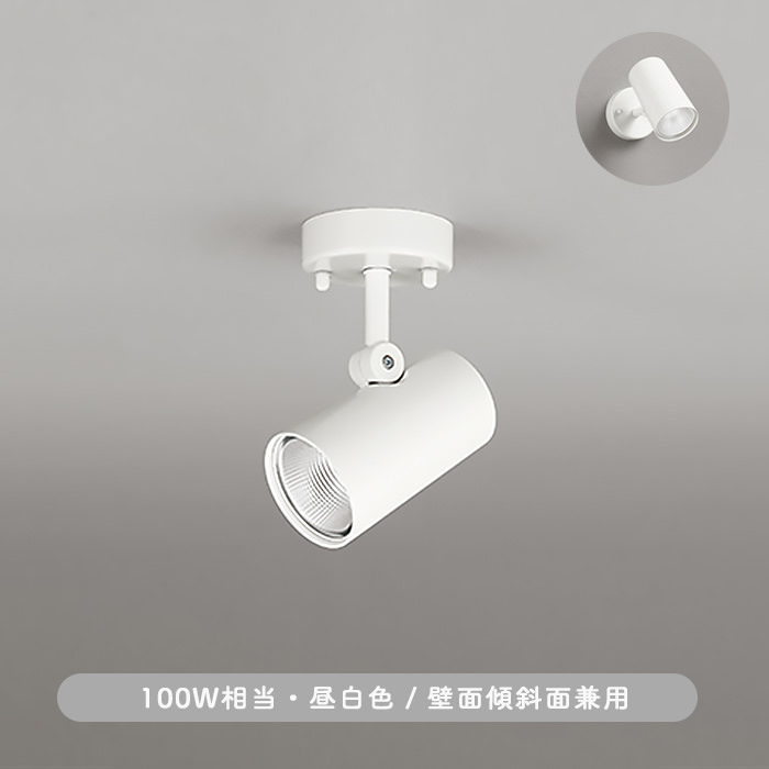 スポットライト 100W相当・昼白色 | 天井壁面兼用｜照明のライティング