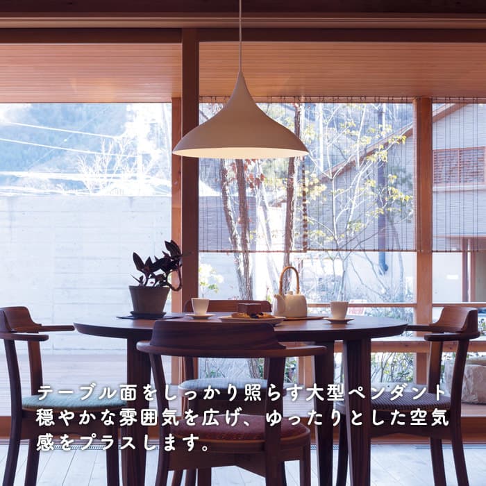 ホワイト アルミセードペンダントライト 100W形・ダクトレール専用