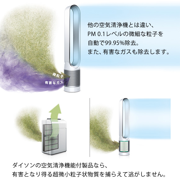 ダイソン空気清浄機能付扇風機ピュアクールリンク【目録引換券・A3