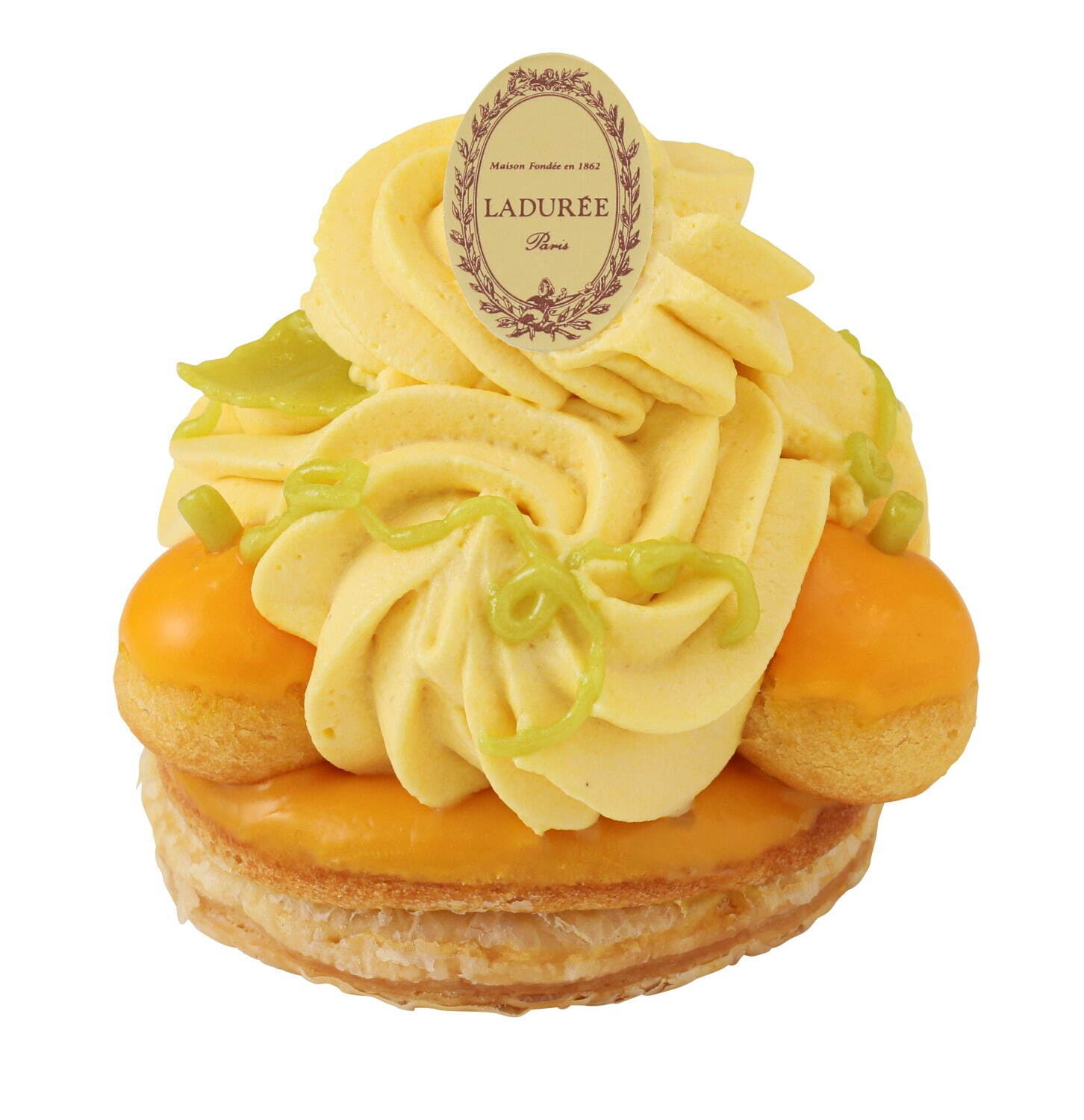 ラデュレ マカロン空箱2個 ハロウィン限定パッケージ 2024年夏ラデュレ