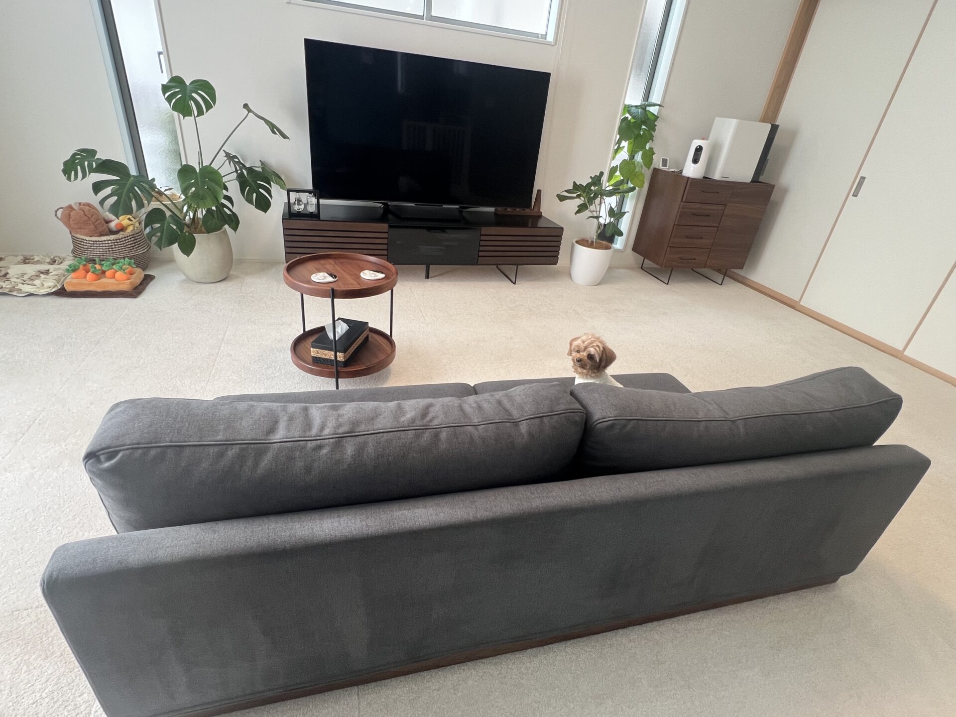 ダークグレー×ウォールナットで、高級感あふれるローソファに