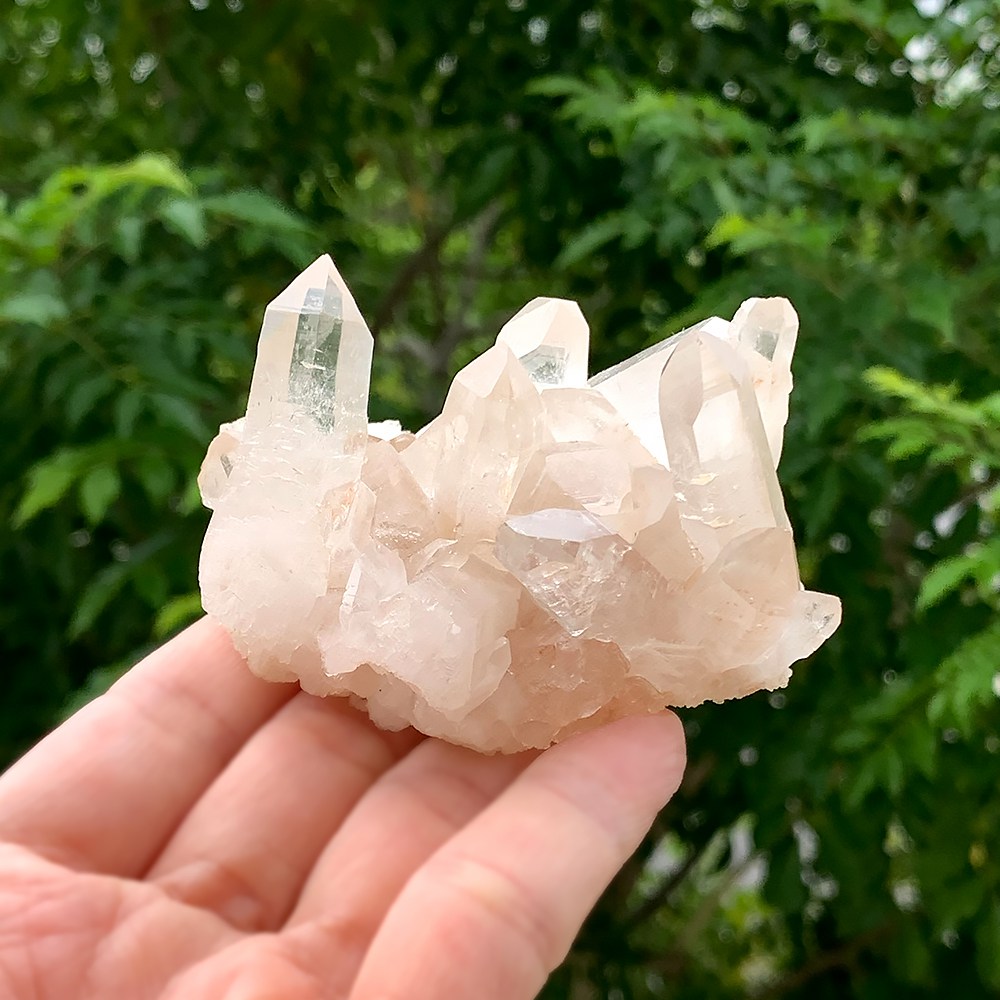 特別価格/高品質・マニカラン産]ヒマラヤ水晶クラスター/原石/淡い