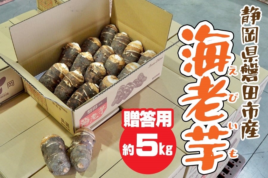 海老芋 5kg｜贈答用｜静岡県産 磐田市 京野菜 生産量日本一: 遠州中央