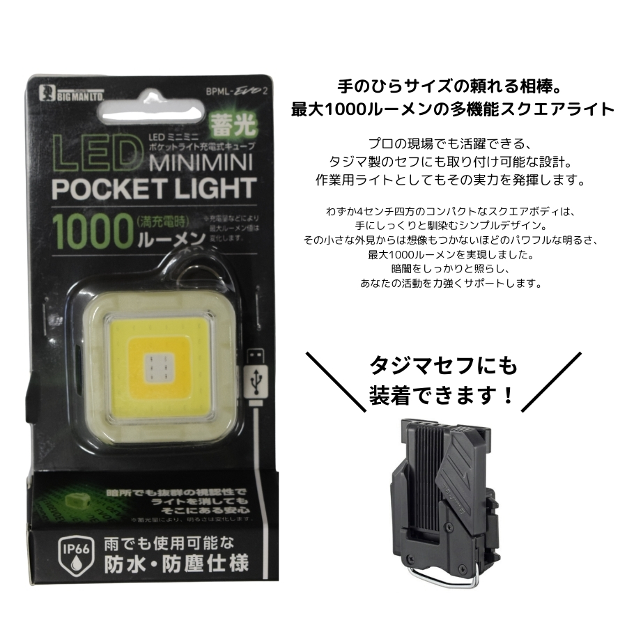 BIGMAN ビッグマン 【蓄光】 小型 LED ミニミニポケットライト充電式