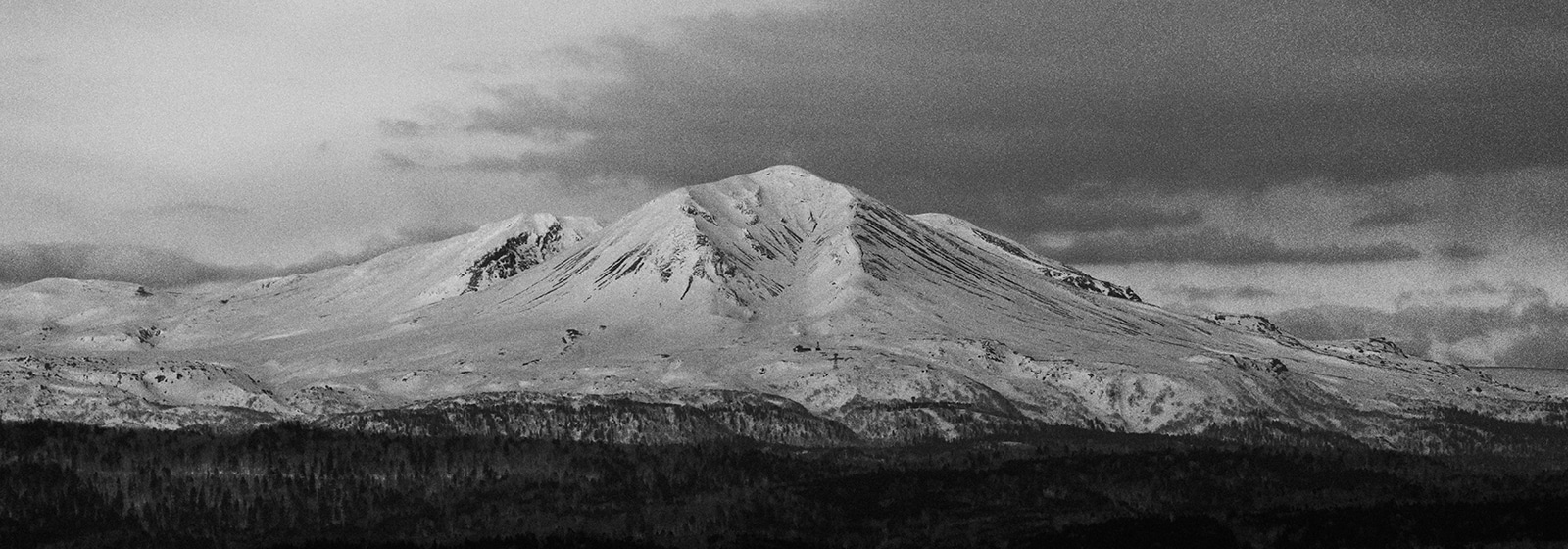 匠工芸(家具・製品)の通販 / マスターウォール