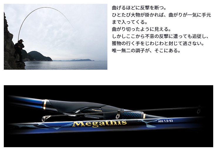 磯/磯釣り/磯ロッド（ダイワ）/21 メガディス AGS 【YT】