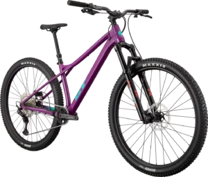 Zaskar LT(ザスカー エル・ティー) トレイル向けMTB | GT Bicycles