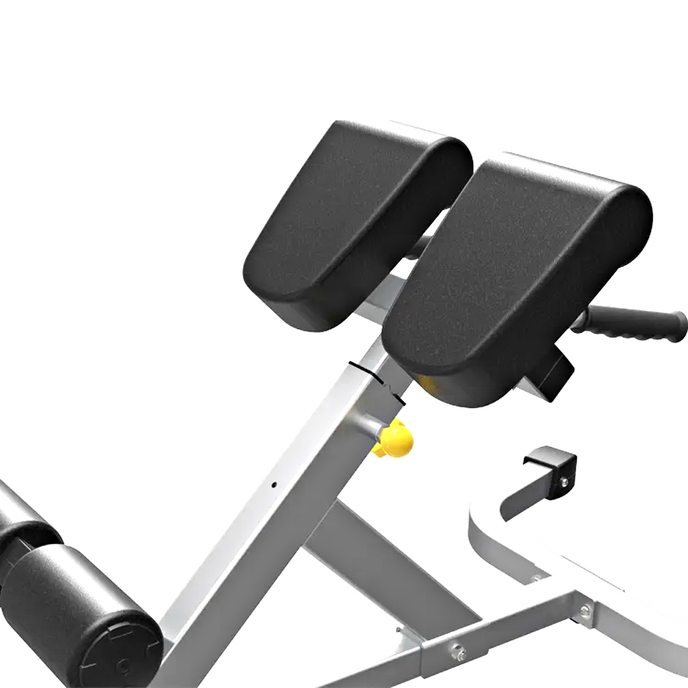 デグリーハイパーエクステンション | 主に背筋や臀筋、ハム