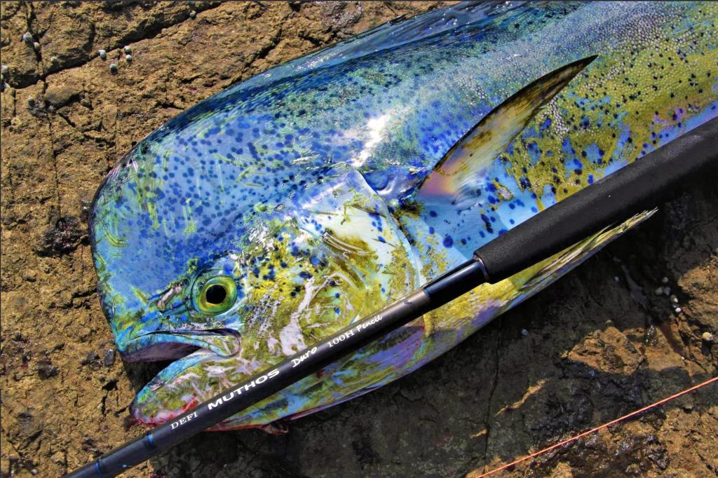 ZENAQ DEFI MUTHOS DURO - Rock shore rods - Le Magazine des Voyages