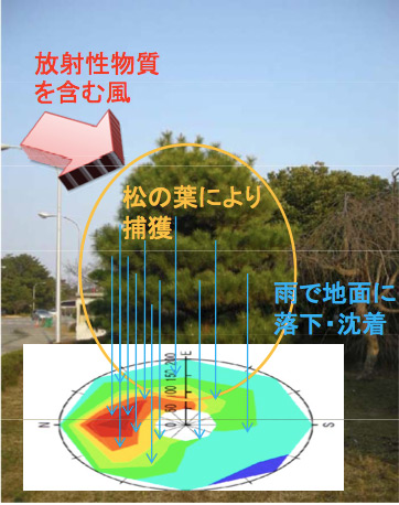 放射線を測る | KEK