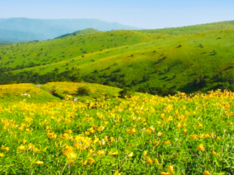2026.7.16 yama楽イージー《 霧ヶ峰/車山 》(Y7e) | 山とスキーの