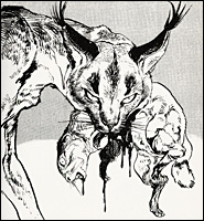 白土三平絵文学 - バッコス