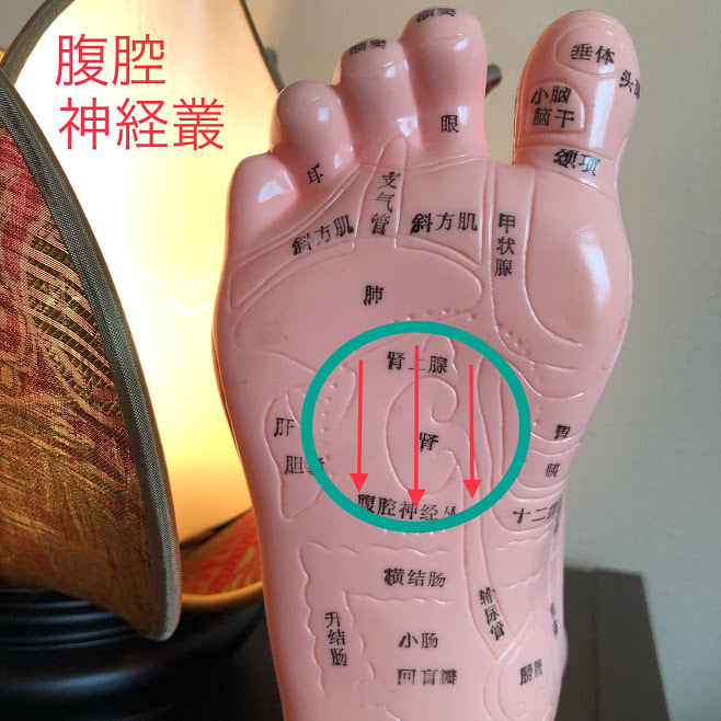 自律神経をセルフケア】春の体調不良を足つぼで乗り越えよう | asatan
