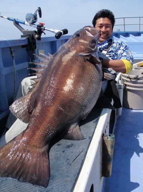 再入荷】浅釣オリジナル 初代浅草200＆二代浅草172: 浅ブロ沖船