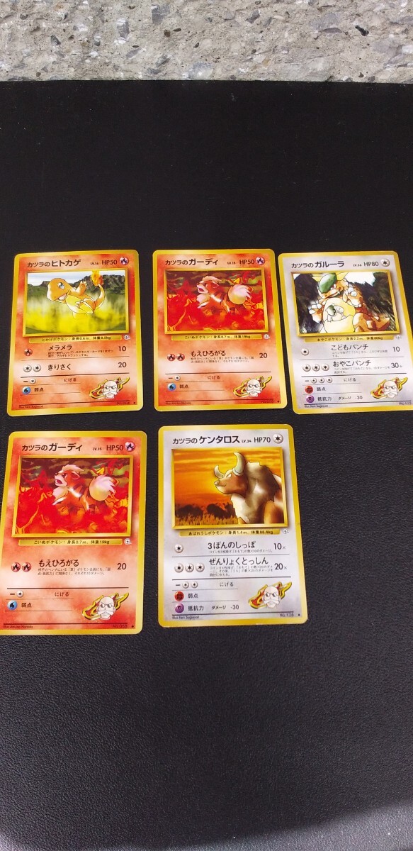 カツラのヒトカゲの値段と価格推移は？｜6件の売買データからカツラの